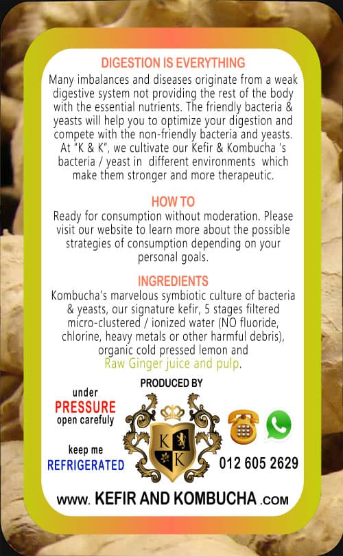 Ginger Kombucha — back label