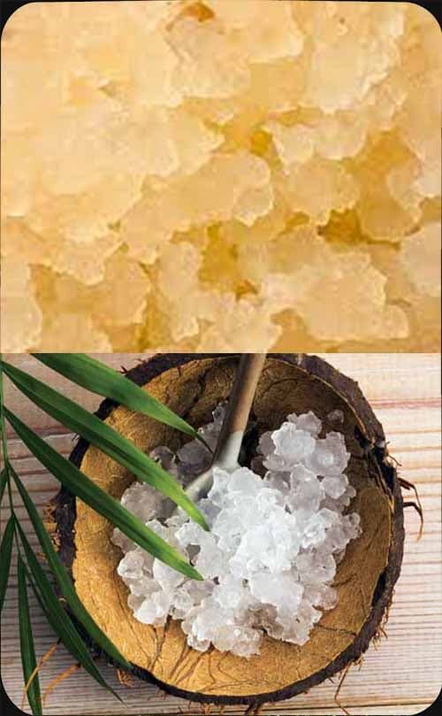 Water Kefir Grains